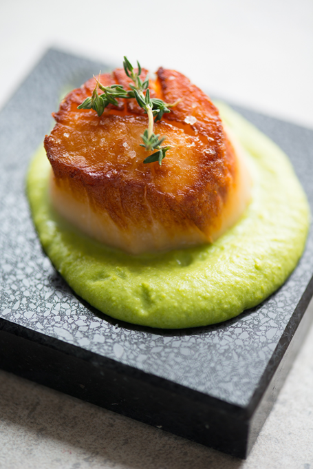 piatti restaurant