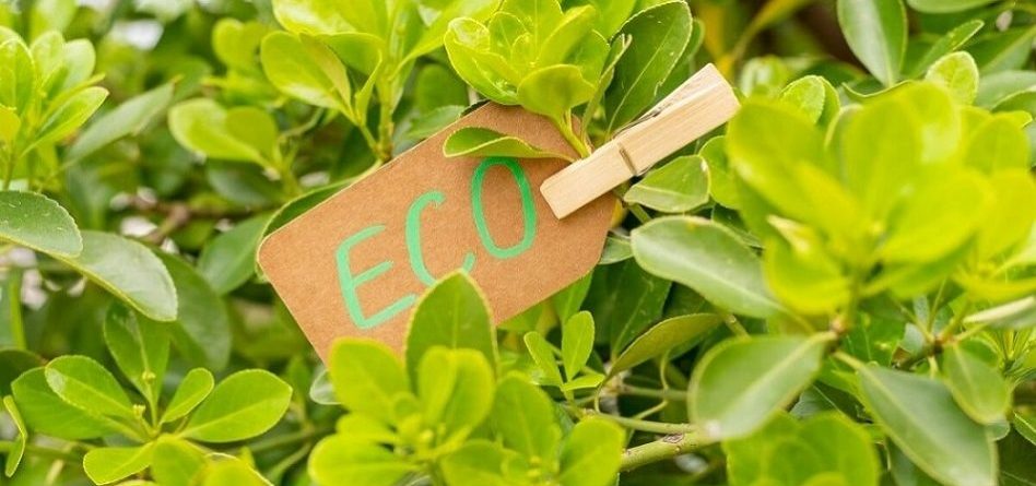 journée mondiale de l'environnement