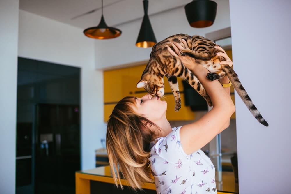 chat
