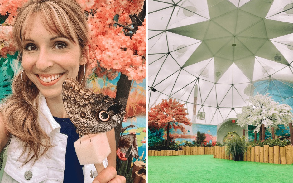 Plongez dans l'univers magique BFLY et ses 1000 papillons en liberté