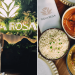 india rosa restaurant