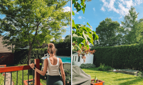 arboristerie arboplus