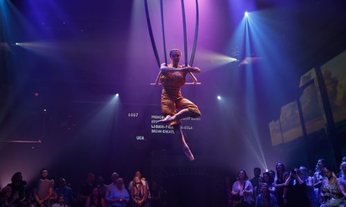 spectacle immersif cirque