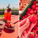 fraises framboises québec festival