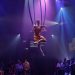 spectacle immersif cirque